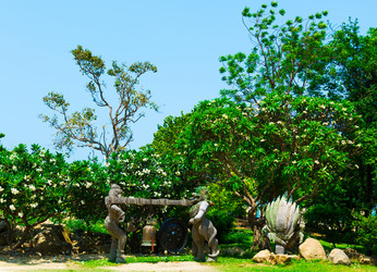 Similar image 11427644