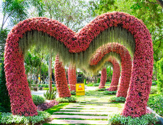 Similar image 11427669