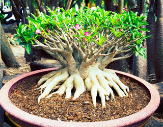 Similar image 11427670