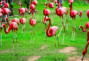 Similar image 11427677