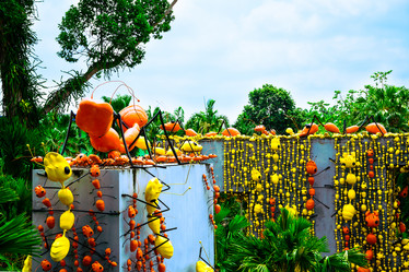 Similar image 11427684