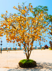 Similar image 11427720