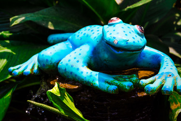 Similar image 11427724