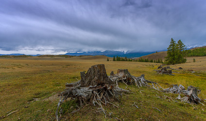 Similar image 11426615