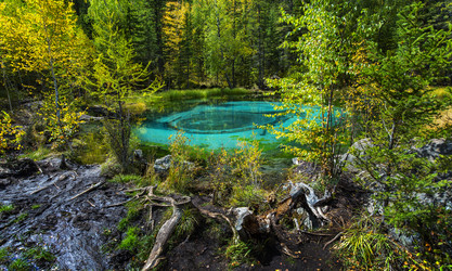 Similar image 11426619