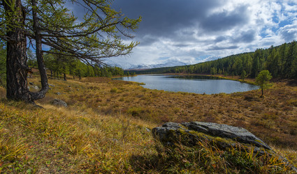 Similar image 11426620