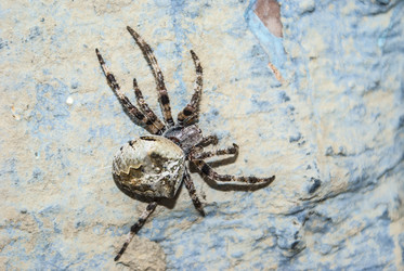 Similar image 11427134