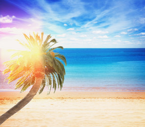 Similar image 11435506