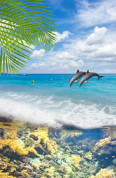 Similar image 11435422