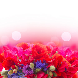 Similar image 11435423