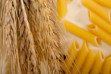 Similar image 11426896