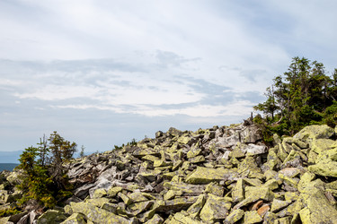 Similar image 11427242