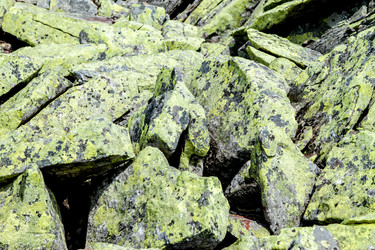 Similar image 11427244