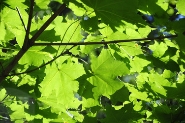 Similar image 11426800