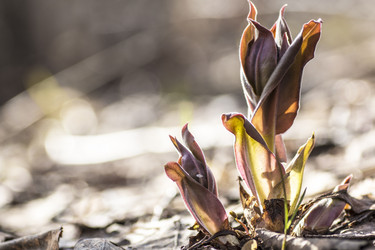 Similar image 11428894