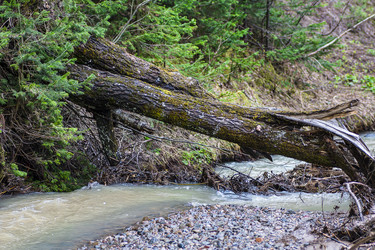 Similar image 11428898