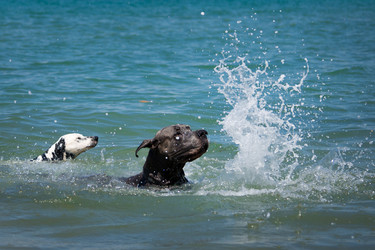 Similar image 11427136