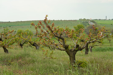 Similar image 11427027