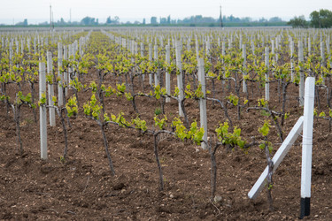 Similar image 11427028