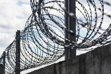 Similar image 11428852