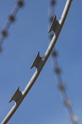 Similar image 11428853