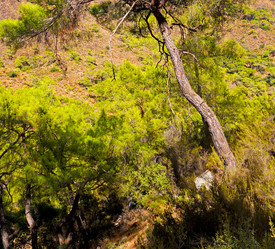 Similar image 11432471