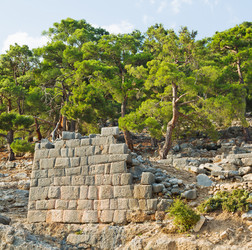 Similar image 11432472