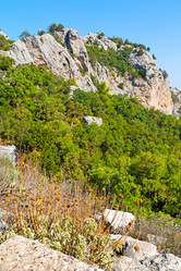 Similar image 11432487