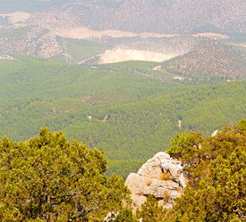 Similar image 11432509