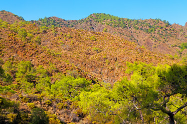 Similar image 11432473