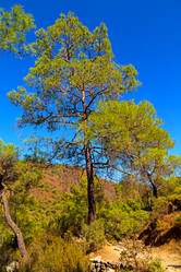 Similar image 11432474