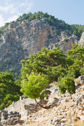 Similar image 11432492