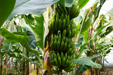 Similar image 11427805