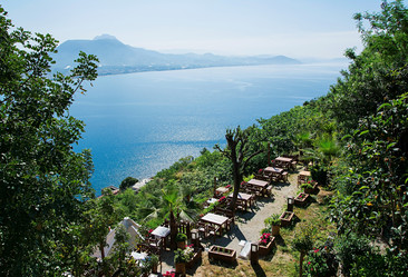 Similar image 11427825