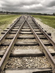 Similar image 11428929