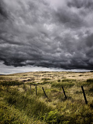 Similar image 11428930