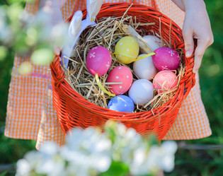 Similar image 11441811