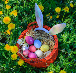 Similar image 11441812