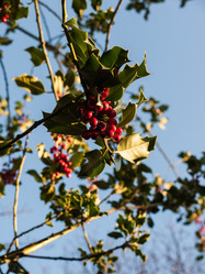 Similar image 11429021