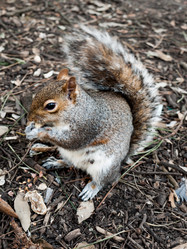 Similar image 11429038