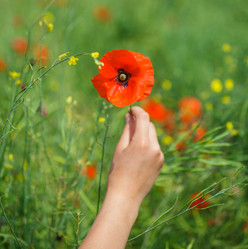 Similar image 11441813