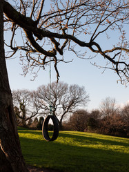 Similar image 11429030