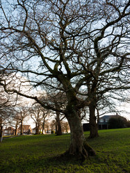 Similar image 11429031