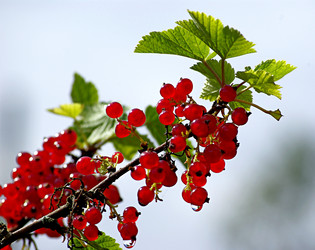 Similar image 11460764