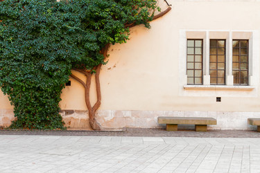 Similar image 11435508