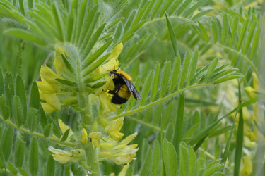 Similar image 11442801