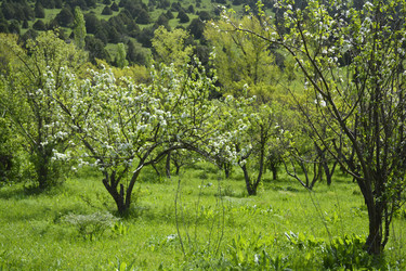 Similar image 11436402