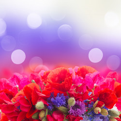 Similar image 11435473