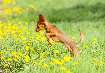 Similar image 11430693