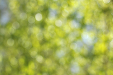 Similar image 11442759